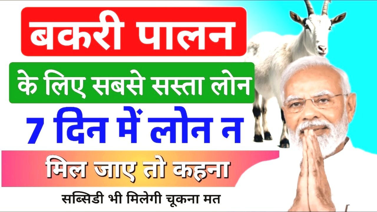 बकरी पालन के लिए बैंक से सस्ता (₹300000 लोन अप्रूवल) लोन सिर्फ 7 दिन में