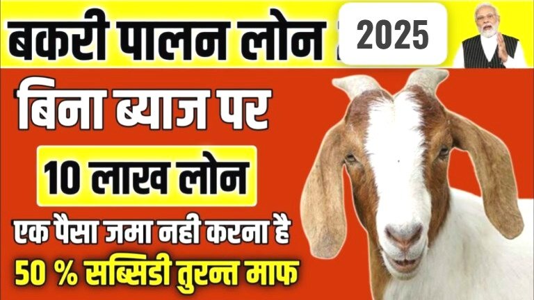 बकरी पालन लोन 2025